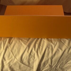 Louis Vuitton Orange Bag